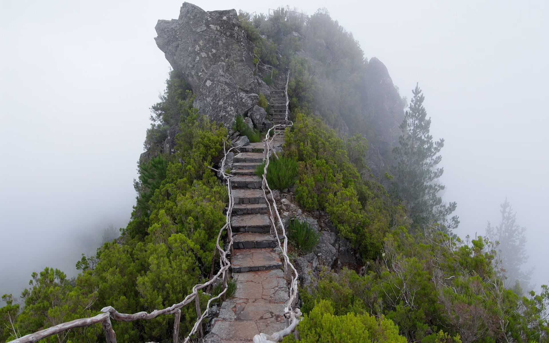 世界短道速滑社区基金成立：支持基层场馆维护与教练培养，世界短道速滑锦标赛2021中国队